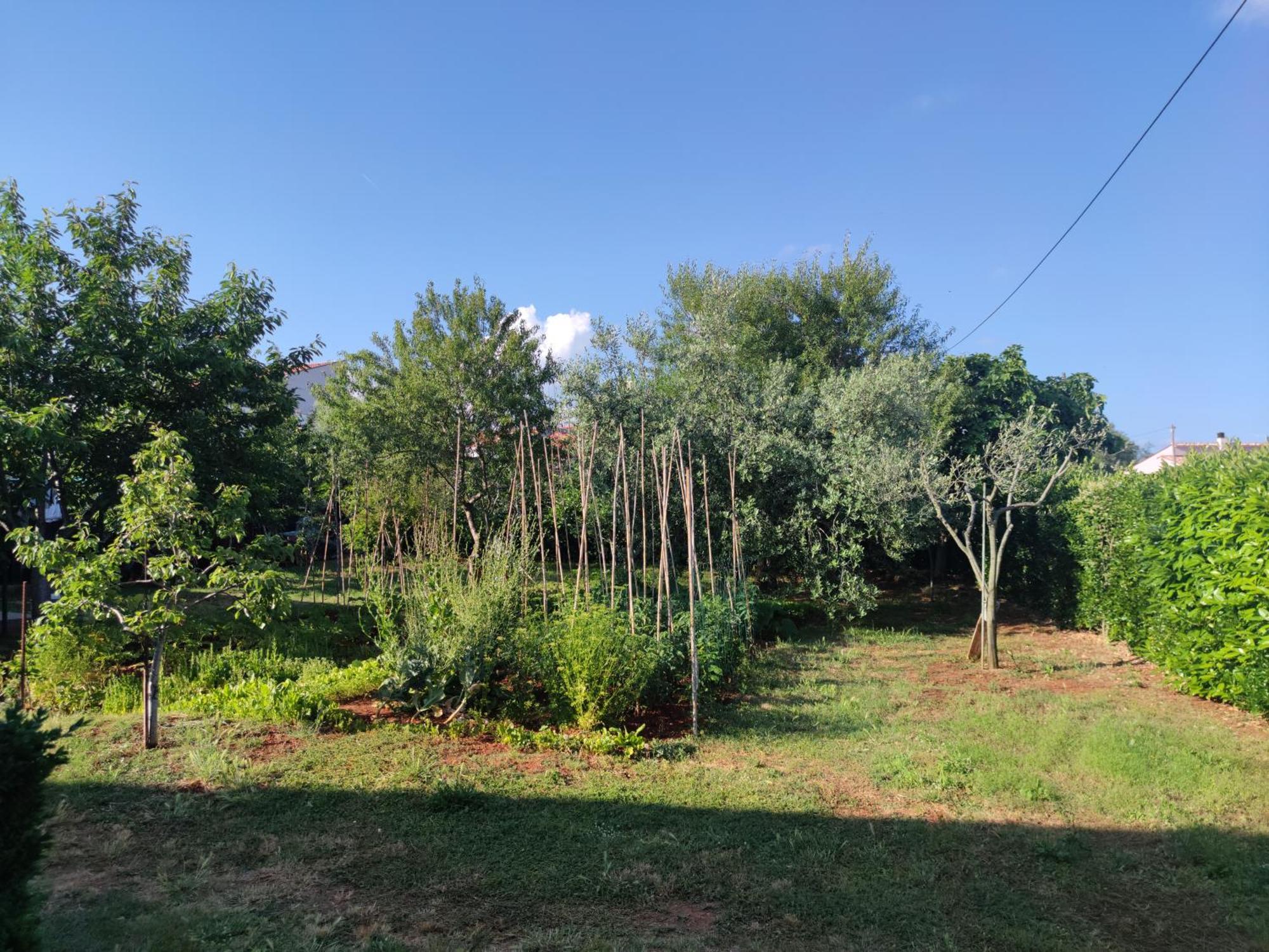 Spacious Apartment With Parking&Garden Marčana Quarto foto